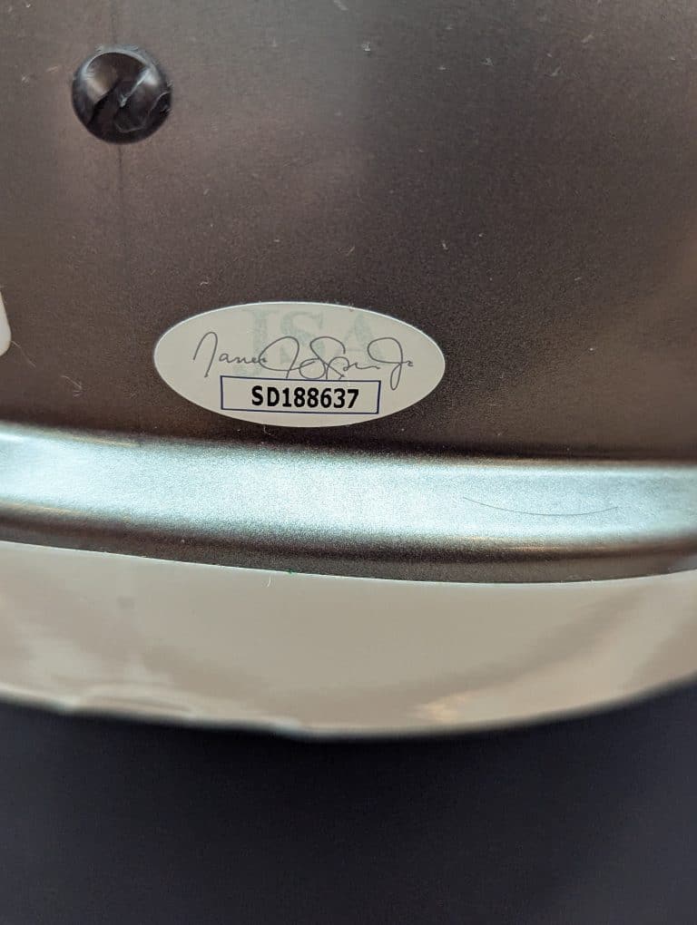 Jordan Davis Flash Replica Helmet - Image 2