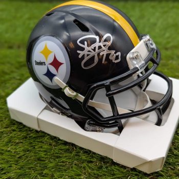 Troy Polamalu UH