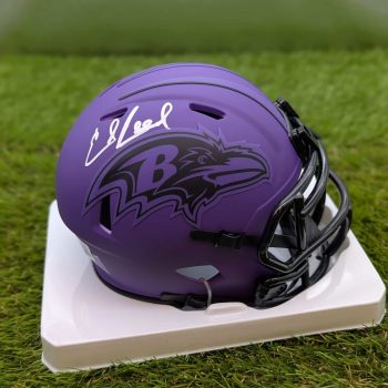 Ed Reed Rave UH