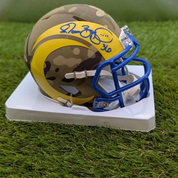 Jerome Bettis Camo UH